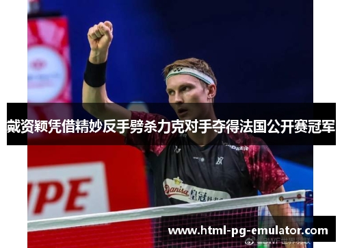 戴资颖凭借精妙反手劈杀力克对手夺得法国公开赛冠军 戴资颖凭借精妙反手劈杀力克对手夺得法国公开赛冠军