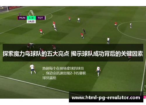 探索魔力鸟球队的五大亮点 揭示球队成功背后的关键因素 探索魔力鸟球队的五大亮点 揭示球队成功背后的关键因素