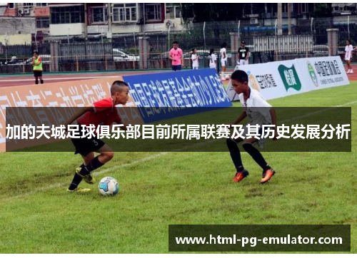 加的夫城足球俱乐部目前所属联赛及其历史发展分析