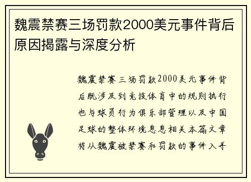 魏震禁赛三场罚款2000美元事件背后原因揭露与深度分析